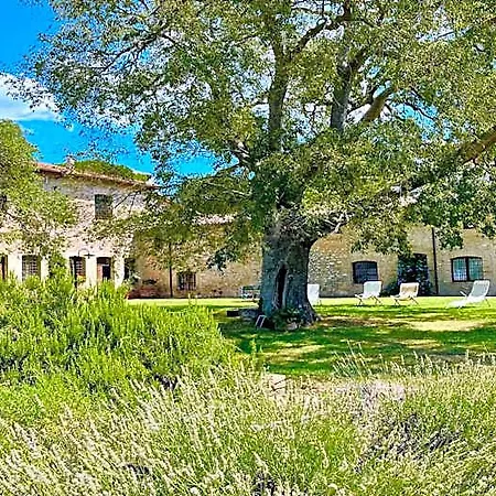 Exclusive Pool-open Year-spoleto Biofarm-slps 8-village Shops, Bar1 Km Hotel 4*