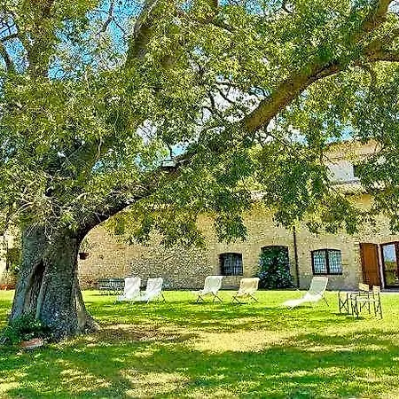 Ξενοδοχείο Exclusive Pool-open Year-spoleto Biofarm-slps 8-village Shops, Bar1 Km